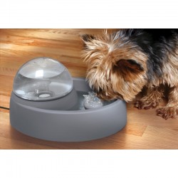 FONTAINE A EAU EN CONTINU POUR PETIT CHIEN