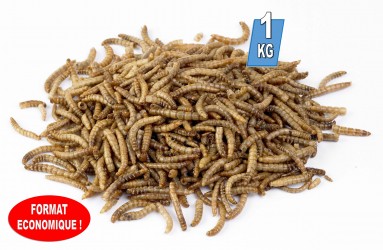 VERS DE FARINE POUR TORTUE DE TERRE SAC DE 1 KG