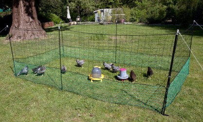 FILET ENCLOS POUR POULES 21 METRES