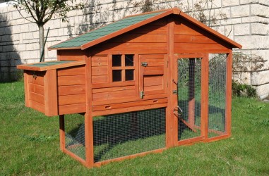 POULAILLER BOIS EN KIT UTAH 100% SAPIN DE FINLANDE 