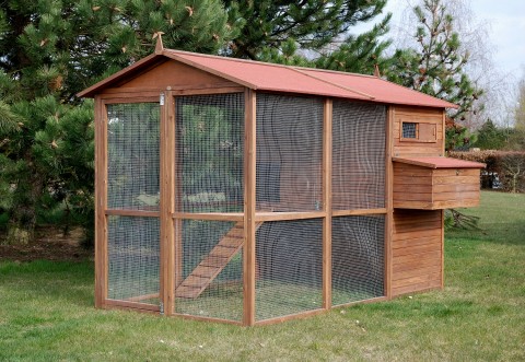 GRAND POULAILLER BOIS LARGE SQUARE 100% SAPIN DE FINLANDE + 100 litres de litière COCO CLEAN GRATUITS (EAB100)