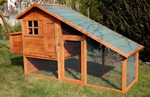 GRAND POULAILLER EN BOIS NEVADA 100% SAPIN DE FINLANDE 