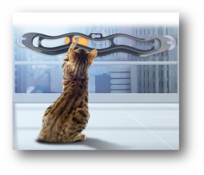 JOUET POUR CHAT PISTE DE JEU POUR SURFACE VITRÉE 