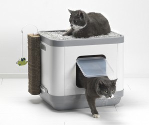 MAISON DE TOILETTE CHAT ''LE CUBE''