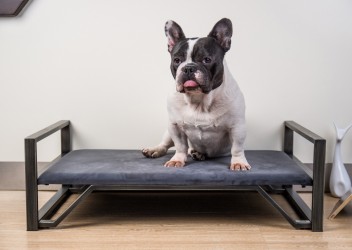 CANAPE POUR CHIEN LIT POUR PETIT CHIEN ''TINY TAIL''