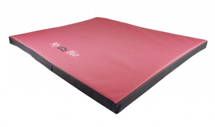 MATELAS TAPIS POUR CHIEN MOYEN ''LAZY''