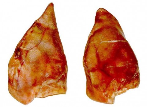 FRIANDISE POUR CHIEN OREILLES DE PORC X 2