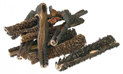 PANSE SECHEE NATURELLE POUR CHIEN
