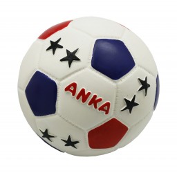 JOUET POUR CHIEN EN LATEX BALLON FOOT ''CHAMPION DU MONDE''