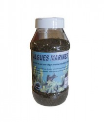 COMPLEMENT ALIMENTAIRE ALGUES BRETONNES POUR POULES