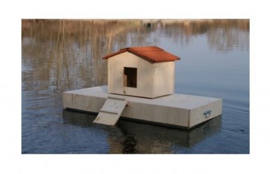 ILOT COMPLET AVEC NICHOIR POUR CANARDS