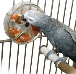 JOUET OISEAU DISTRIBUTEUR DE FRIANDISES