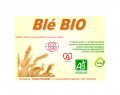ALIMENT BLÉ BIO POUR POULES/VOLAILLE