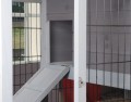 MAISON NICHE D'INTERIEUR POUR PETIT CHIEN ''RESTLAND'' 100% SAPIN DE FINLANDE