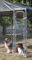 CHENIL POUR CHIEN PAS CHER EN MÉTAL ''GARDENPARK''