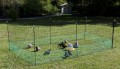 ENCLOS FILET POUR POULES 12 METRES