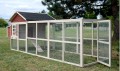 EXTENSION 100% SAPIN DE FINLANDE POUR POULAILLER MICHIGAN