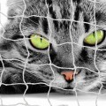 FILET DE SECURITE POUR CHAT/FILET DE BALCON ET FENETRES POUR CHAT 2 M X 1.5 M