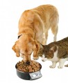 GAMELLE INOX POUR CHIEN AVEC PESÉE INTEGRÉE 1.8 LITRE (800 grs croquettes environ)