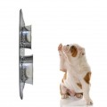 SET DE 2 GAMELLES CHIEN INOX + TAPIS AIMANTES 