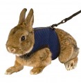 HARNAIS & LAISSE POUR CHINCHILLA OU LAPIN TOY ''COSY''