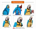 HARNAIS + LONGE POUR AMAZONE, GRIS DU GABON, CONURE, GRANDE PERRUCHE...