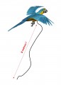 HARNAIS POUR PERROQUET ET AUTRE OISEAU