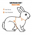 HARNAIS & LAISSE POUR CHINCHILLA OU LAPIN TOY ''COSY''