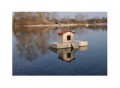 ILOT COMPLET AVEC NICHOIR POUR CANARDS