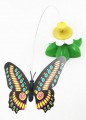 JOUET POUR CHAT BUTTERFLY