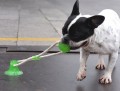 JOUET POUR CHIEN TRACTION CORDE AVEC VENTOUSE ''TRACKS''