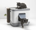 MAISON DE TOILETTE CHAT ''LE CUBE''