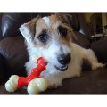 NYLABONE JOUET CHIEN EXTREME DOUBLE BONE AU BACON