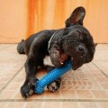 JOUET POUR CHIOT PETITE RACE NYLABONE PUPPY BONE SOFT AU POULET