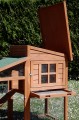 POULAILLER PETIT PRIX COLORADO 100% SAPIN DE FINLANDE