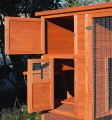 POULAILLER 3 OU 4 POULES BOIS DAKOTA 100% SAPIN DE FINLANDE