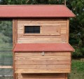 GRAND POULAILLER BOIS LARGE SQUARE 100% SAPIN DE FINLANDE + 100 litres de litière COCO CLEAN GRATUITS (EAB100)