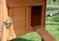 POULAILLER PRIX DISCOUNT INDIANA EN BOIS 100% SAPIN DE FINLANDE