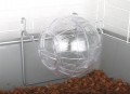BOULE D'EXERCICE POUR HAMSTER & GERBILLE