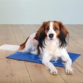 TAPIS RAFRAICHISSANT POUR CHIEN