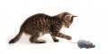 JOUET CHAT SOURIS TELECOMMANDEE