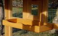 VOLIERE OISEAUX/CAGE OISEAUX ''DENVER'' BOIS 100% SAPIN DE FINLANDE